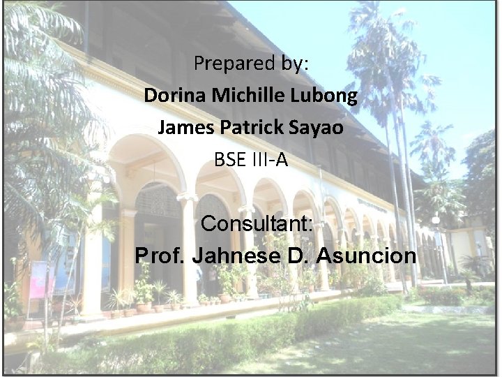 Prepared by: Dorina Michille Lubong James Patrick Sayao BSE III-A Consultant: Prof. Jahnese D.