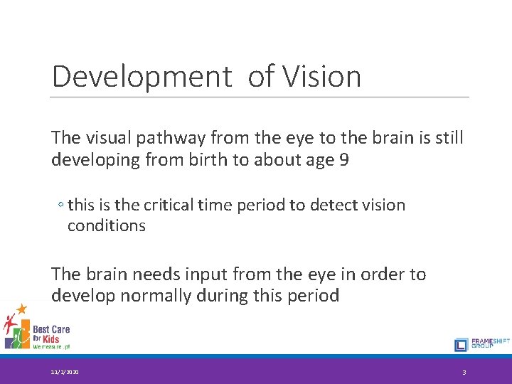 Development of Vision The visual pathway from the eye to the brain is still