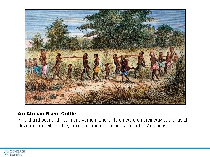 An African Slave Coffle Yoked and bound, these men, women, and children were on
