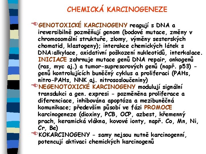 CHEMICKÁ KARCINOGENEZE EGENOTOXICKÉ KARCINOGENY reagují s DNA a ireversibilně pozměňují genom (bodové mutace, změny