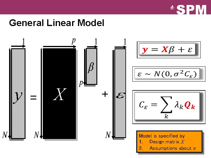 General Linear Model y = X + Model is specified by 1. Design matrix