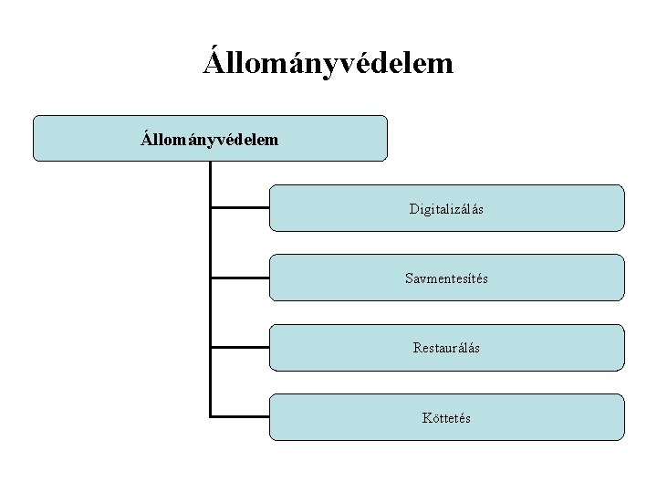 Állományvédelem Digitalizálás Savmentesítés Restaurálás Köttetés 