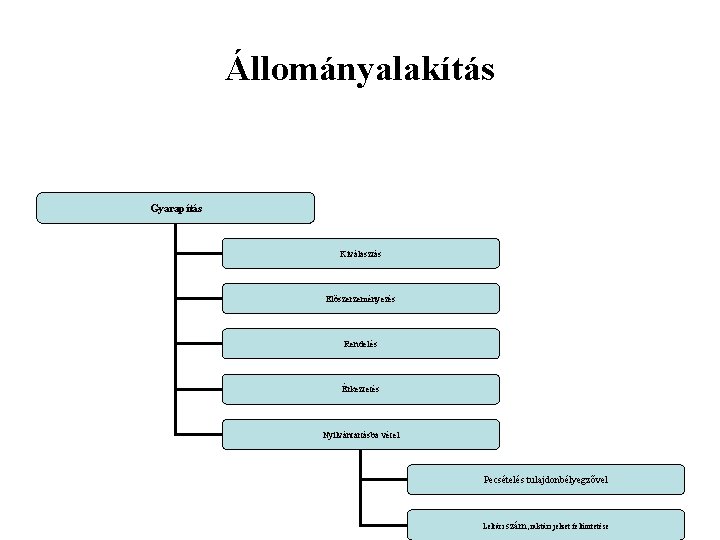 Állományalakítás Gyarapítás Kiválasztás Előszerzeményezés Rendelés Érkeztetés Nyilvántartásba vétel Pecsételés tulajdonbélyegzővel Leltári szám, raktári jelzet Állományalakítás Gyarapítás Kiválasztás Előszerzeményezés Rendelés Érkeztetés Nyilvántartásba vétel Pecsételés tulajdonbélyegzővel Leltári szám, raktári jelzet