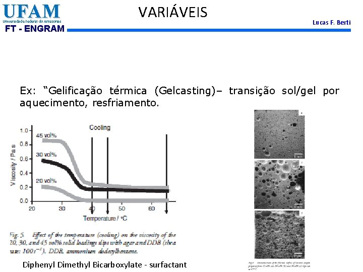 UFAM Universidade Federal do Amazonas VARIÁVEIS FT - ENGRAM Lucas F. Berti Ex: “Gelificação