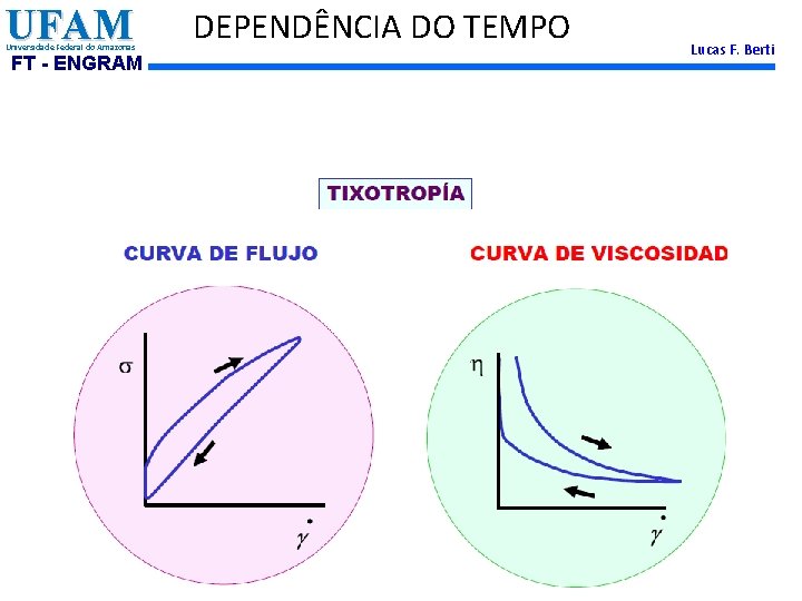 UFAM Universidade Federal do Amazonas FT - ENGRAM DEPENDÊNCIA DO TEMPO Lucas F. Berti