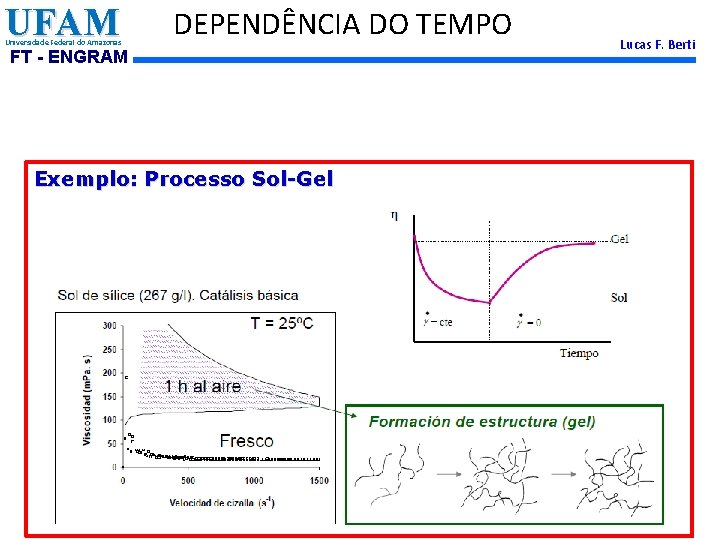 UFAM Universidade Federal do Amazonas DEPENDÊNCIA DO TEMPO FT - ENGRAM Exemplo: Processo Sol-Gel