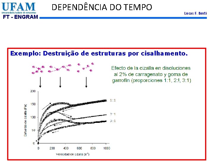 UFAM Universidade Federal do Amazonas FT - ENGRAM DEPENDÊNCIA DO TEMPO Lucas F. Berti