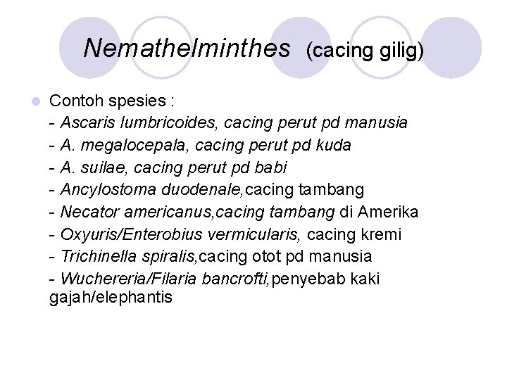 Nemathelminthes l (cacing gilig) Contoh spesies : - Ascaris lumbricoides, cacing perut pd manusia