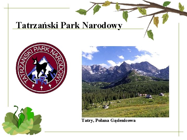 Tatrzański Park Narodowy Tatry, Polana Gąsienicowa 