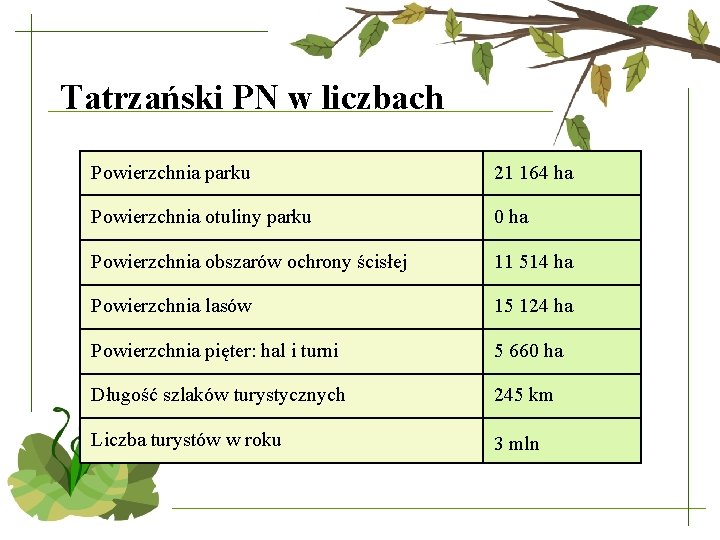 Tatrzański PN w liczbach Powierzchnia parku 21 164 ha Powierzchnia otuliny parku 0 ha