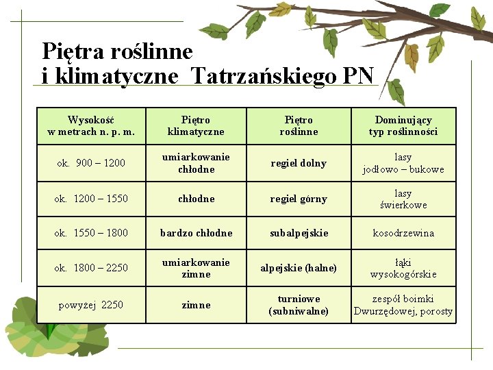 Piętra roślinne i klimatyczne Tatrzańskiego PN Wysokość w metrach n. p. m. Piętro klimatyczne