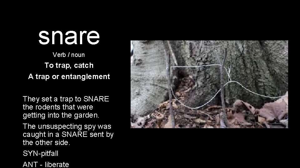 snare Verb / noun To trap, catch A trap or entanglement They set a