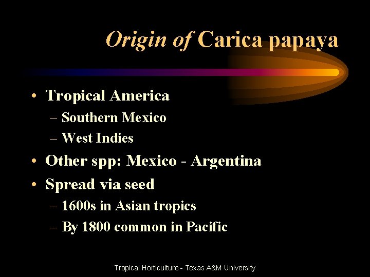 Origin of Carica papaya • Tropical America – Southern Mexico – West Indies •