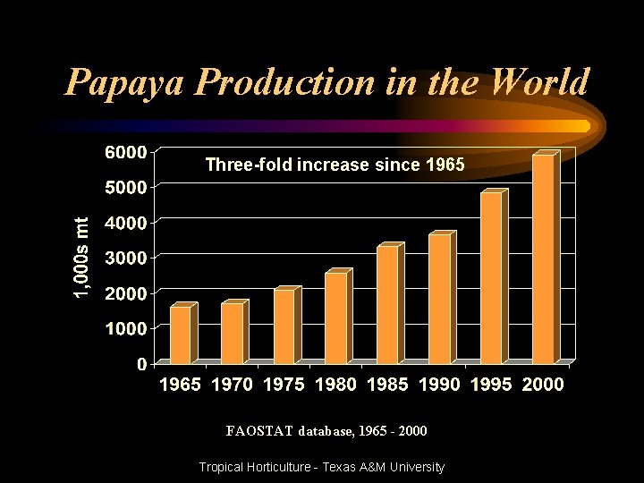 Papaya Production in the World Three-fold increase since 1965 FAOSTAT database, 1965 - 2000