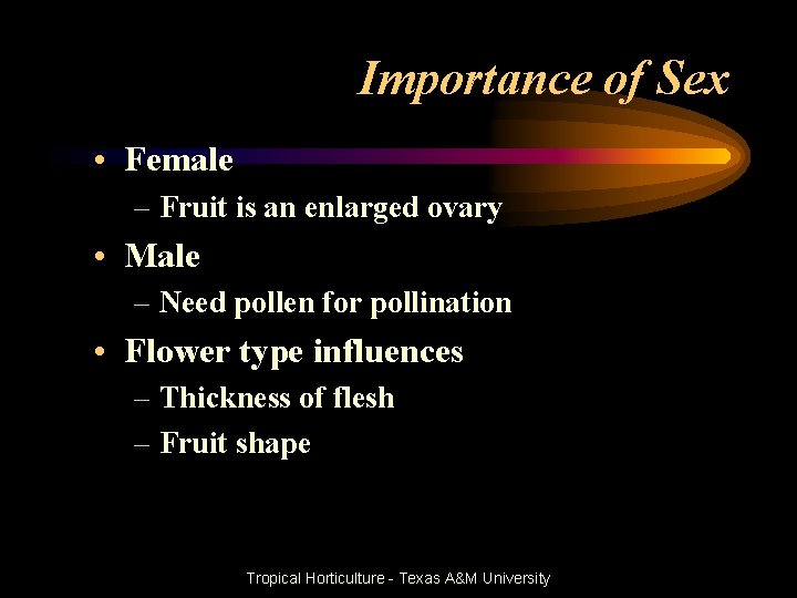 Importance of Sex • Female – Fruit is an enlarged ovary • Male –