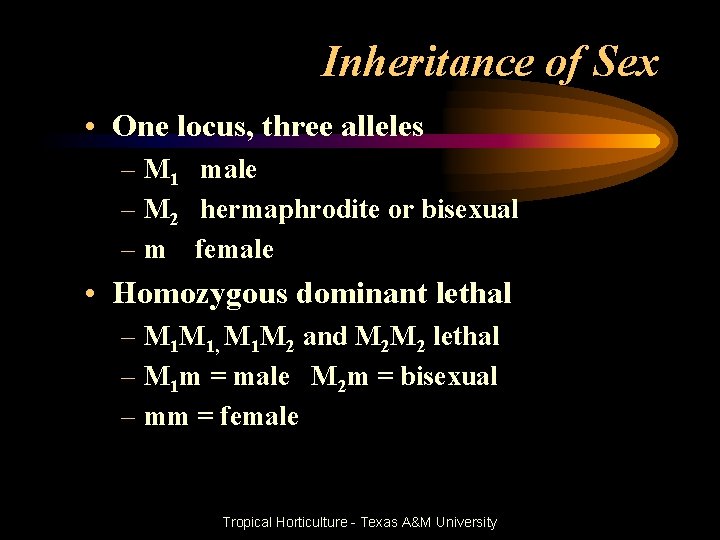Inheritance of Sex • One locus, three alleles – M 1 male – M