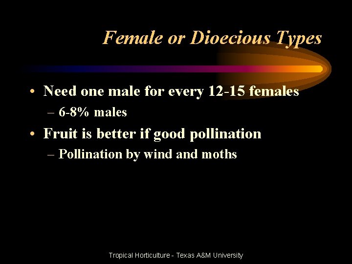 Female or Dioecious Types • Need one male for every 12 -15 females –
