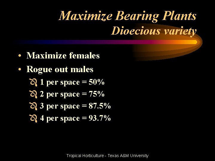 Maximize Bearing Plants Dioecious variety • Maximize females • Rogue out males Ô 1