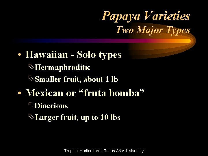 Papaya Varieties Two Major Types • Hawaiian - Solo types õHermaphroditic õSmaller fruit, about