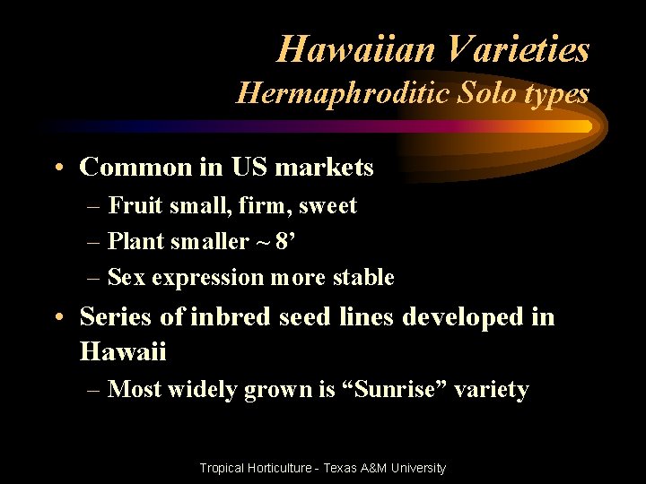 Hawaiian Varieties Hermaphroditic Solo types • Common in US markets – Fruit small, firm,