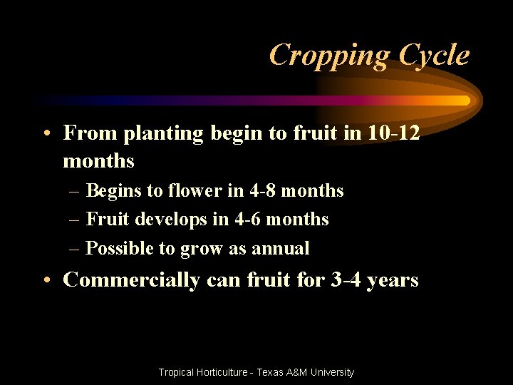 Cropping Cycle • From planting begin to fruit in 10 -12 months – Begins