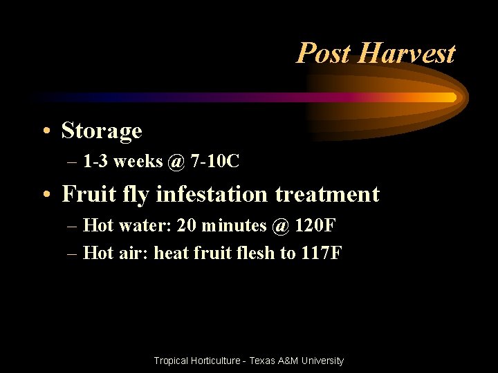 Post Harvest • Storage – 1 -3 weeks @ 7 -10 C • Fruit