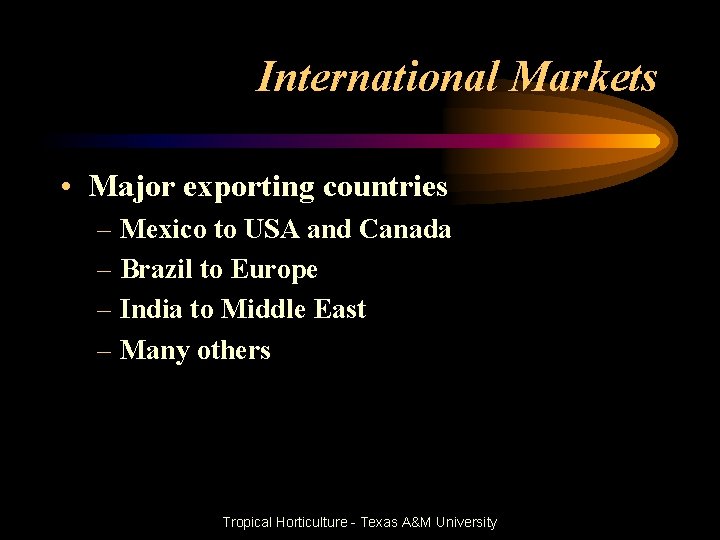 International Markets • Major exporting countries – Mexico to USA and Canada – Brazil