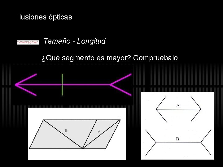 Ilusiones ópticas Tamaño - Longitud ¿Qué segmento es mayor? Compruébalo Ilusiones ópticas Tamaño - Longitud ¿Qué segmento es mayor? Compruébalo
