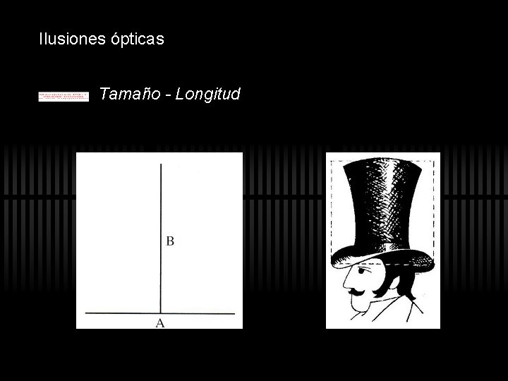Ilusiones ópticas Tamaño - Longitud Ilusiones ópticas Tamaño - Longitud