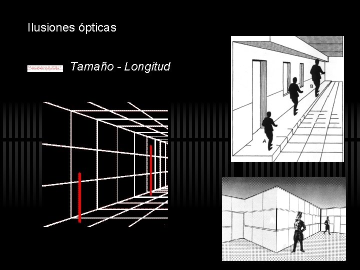 Ilusiones ópticas Tamaño - Longitud Ilusiones ópticas Tamaño - Longitud