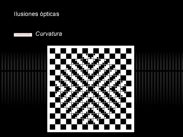 Ilusiones ópticas Curvatura Ilusiones ópticas Curvatura