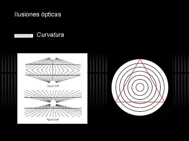 Ilusiones ópticas Curvatura Ilusiones ópticas Curvatura