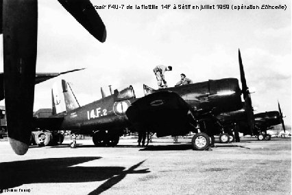 Corsair F 4 U-7 de la flottille 14 F à Sétif en juillet 1959