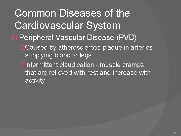 Common Diseases of the Cardiovascular System � Peripheral Vascular Disease (PVD) �Caused by atherosclerotic