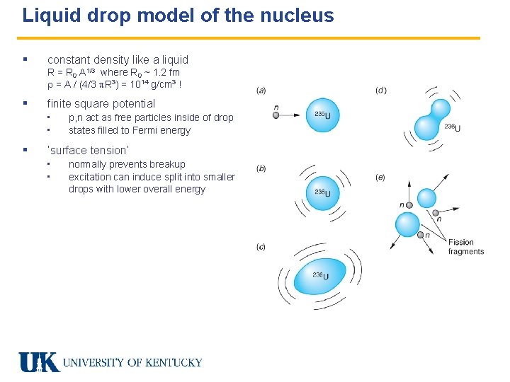 Liquid drop model of the nucleus § constant density like a liquid R =