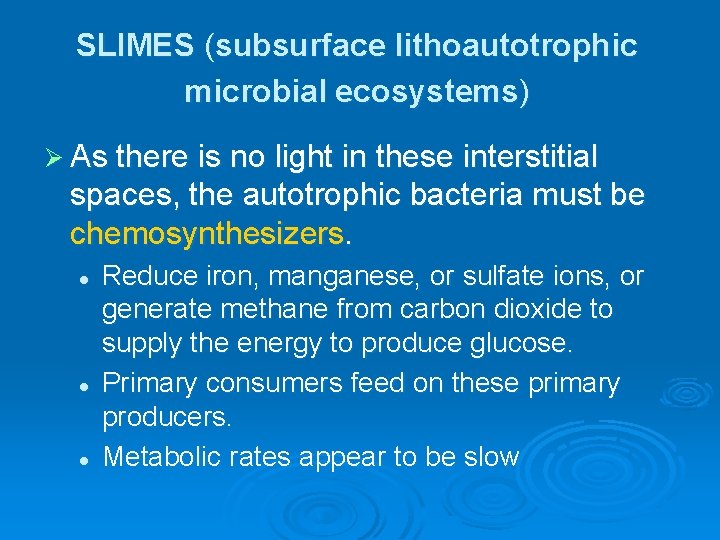 SLIMES (subsurface lithoautotrophic microbial ecosystems) Ø As there is no light in these interstitial SLIMES (subsurface lithoautotrophic microbial ecosystems) Ø As there is no light in these interstitial