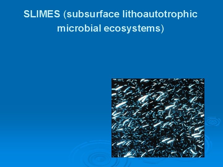 SLIMES (subsurface lithoautotrophic microbial ecosystems) SLIMES (subsurface lithoautotrophic microbial ecosystems)