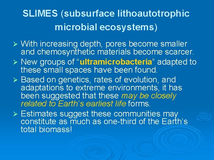 SLIMES (subsurface lithoautotrophic microbial ecosystems) With increasing depth, pores become smaller and chemosynthetic materials SLIMES (subsurface lithoautotrophic microbial ecosystems) With increasing depth, pores become smaller and chemosynthetic materials