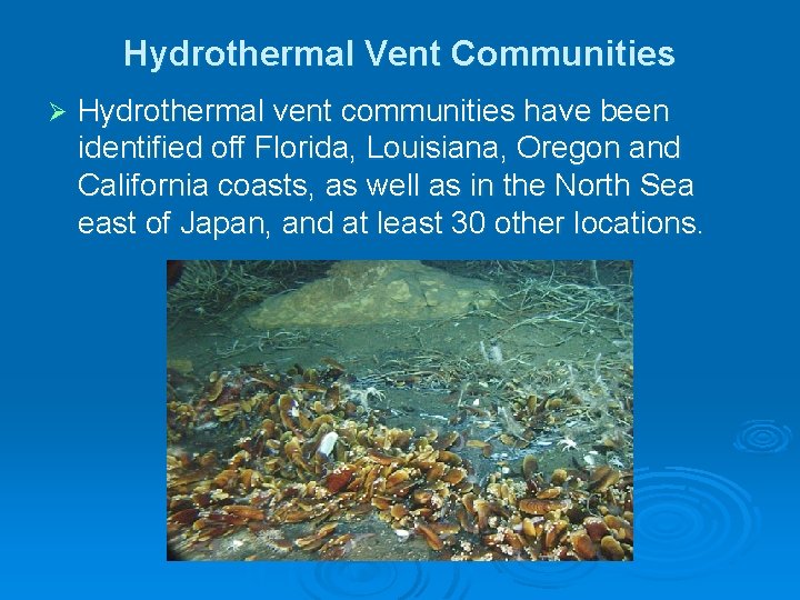 Hydrothermal Vent Communities Ø Hydrothermal vent communities have been identified off Florida, Louisiana, Oregon Hydrothermal Vent Communities Ø Hydrothermal vent communities have been identified off Florida, Louisiana, Oregon