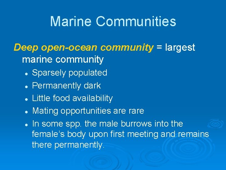 Marine Communities Deep open-ocean community = largest marine community l l l Sparsely populated Marine Communities Deep open-ocean community = largest marine community l l l Sparsely populated