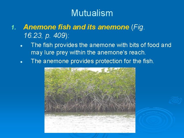 Mutualism Anemone fish and its anemone (Fig. 16. 23, p. 409): 1. l l Mutualism Anemone fish and its anemone (Fig. 16. 23, p. 409): 1. l l