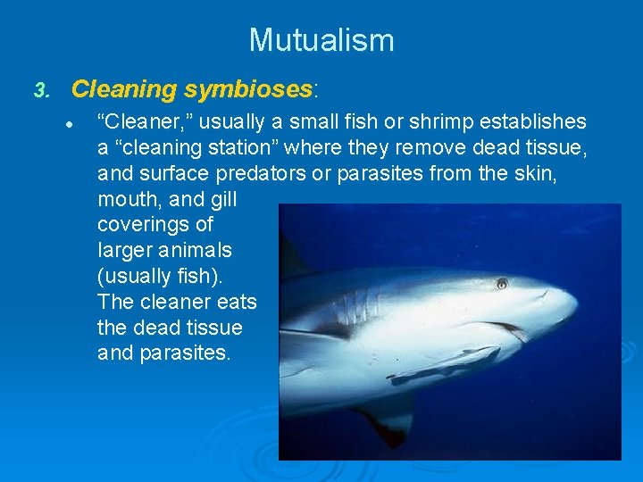 Mutualism 3. Cleaning symbioses: l “Cleaner, ” usually a small fish or shrimp establishes Mutualism 3. Cleaning symbioses: l “Cleaner, ” usually a small fish or shrimp establishes