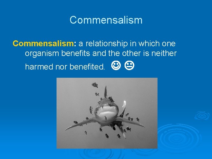 Commensalism: a relationship in which one organism benefits and the other is neither harmed Commensalism: a relationship in which one organism benefits and the other is neither harmed