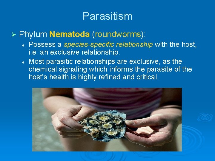 Parasitism Ø Phylum Nematoda (roundworms): l l Possess a species-specific relationship with the host, Parasitism Ø Phylum Nematoda (roundworms): l l Possess a species-specific relationship with the host,