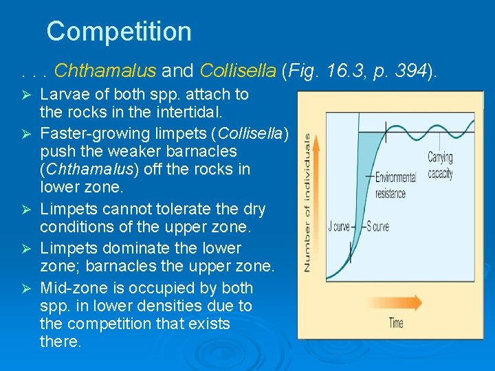 Competition. . . Chthamalus and Collisella (Fig. 16. 3, p. 394). Ø Ø Ø Competition. . . Chthamalus and Collisella (Fig. 16. 3, p. 394). Ø Ø Ø