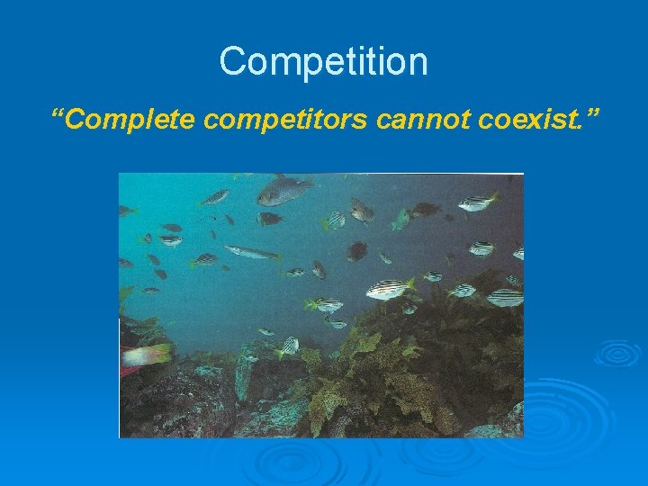 Competition “Complete competitors cannot coexist. ” Competition “Complete competitors cannot coexist. ”