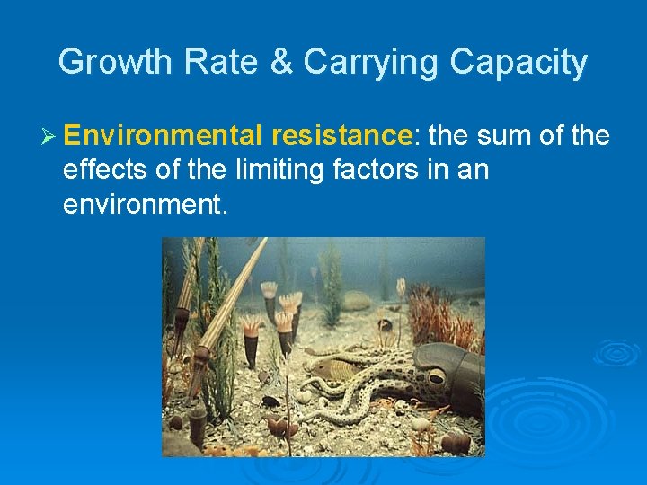 Growth Rate & Carrying Capacity Ø Environmental resistance: the sum of the effects of Growth Rate & Carrying Capacity Ø Environmental resistance: the sum of the effects of