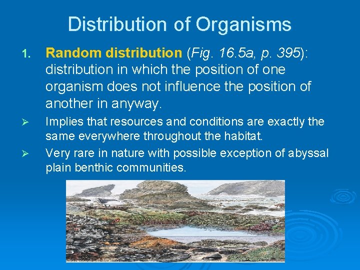 Distribution of Organisms 1. Random distribution (Fig. 16. 5 a, p. 395): distribution in Distribution of Organisms 1. Random distribution (Fig. 16. 5 a, p. 395): distribution in
