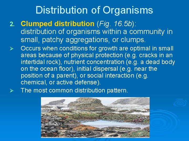 Distribution of Organisms 2. Clumped distribution (Fig. 16. 5 b): distribution of organisms within Distribution of Organisms 2. Clumped distribution (Fig. 16. 5 b): distribution of organisms within