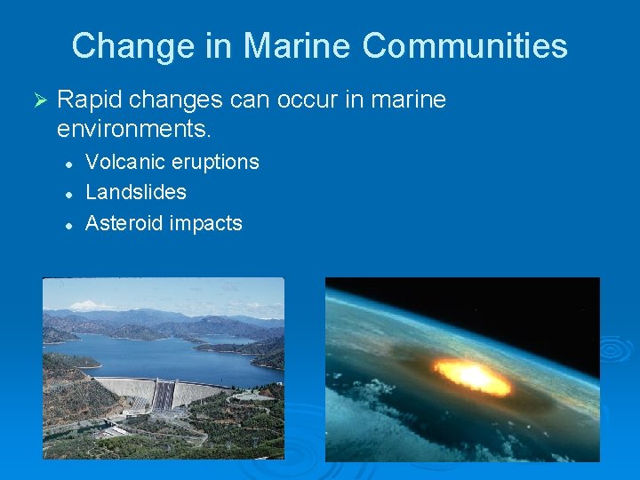 Change in Marine Communities Ø Rapid changes can occur in marine environments. l l Change in Marine Communities Ø Rapid changes can occur in marine environments. l l